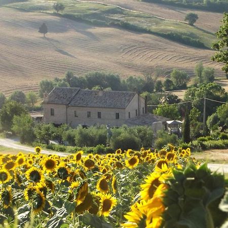 "La Casa Degli Ulivi Art B&B" Trecastelli Luaran gambar