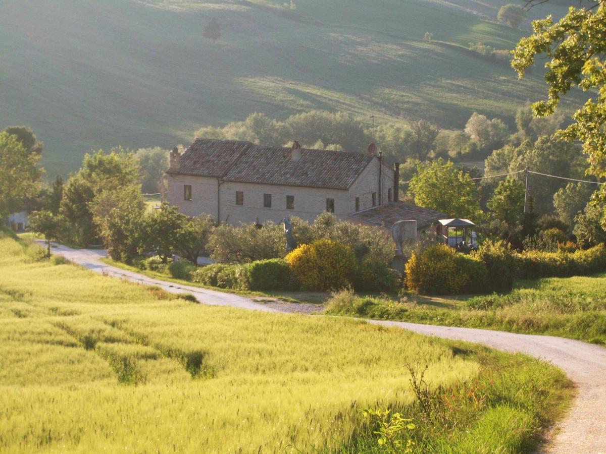 "La Casa Degli Ulivi Art B&B" Trecastelli Luaran gambar