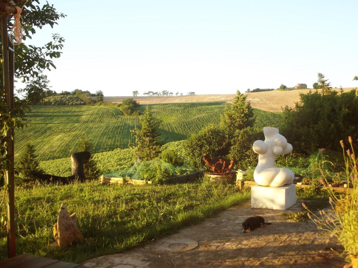 "La Casa Degli Ulivi Art B&B" Trecastelli Luaran gambar