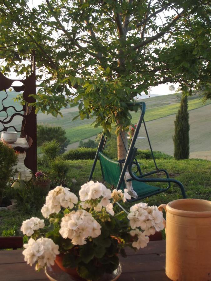 "La Casa Degli Ulivi Art B&B" Trecastelli Luaran gambar