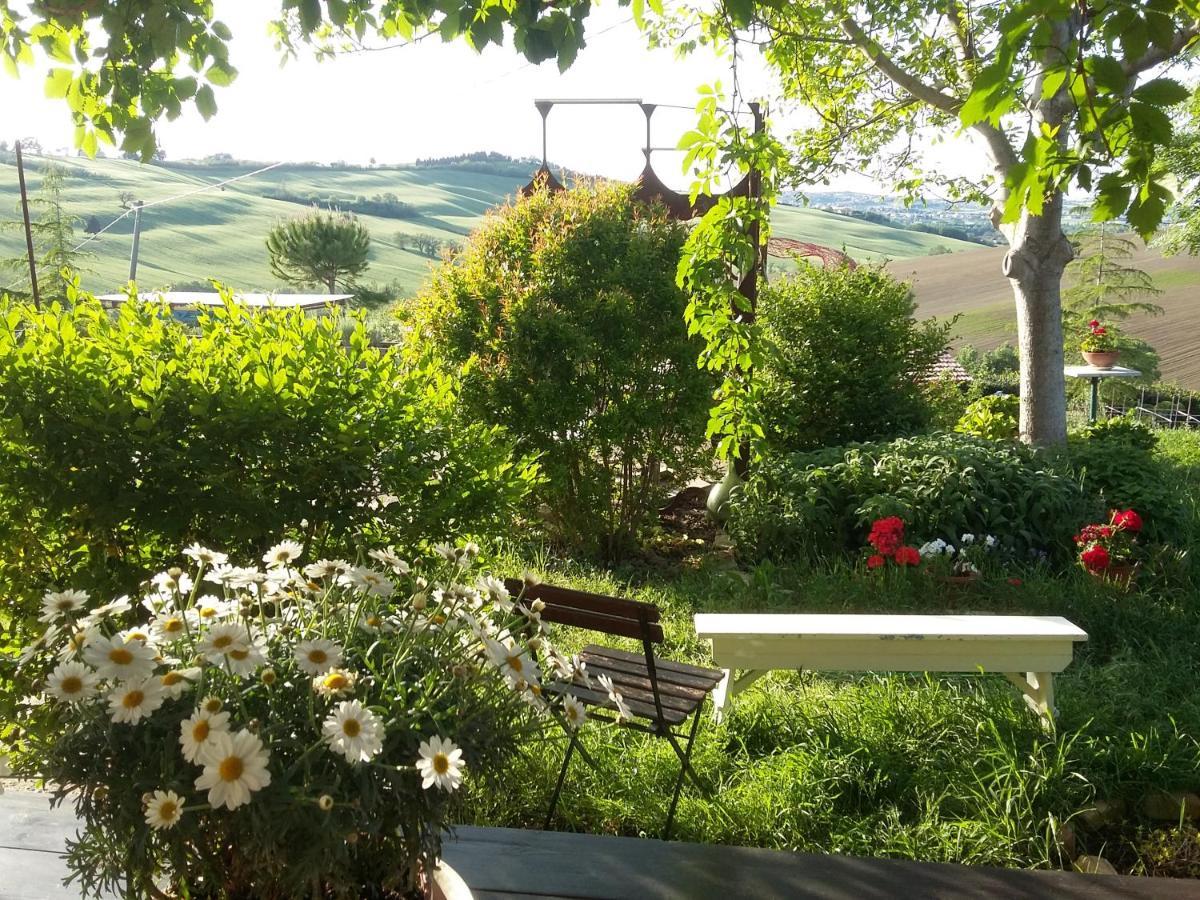 "La Casa Degli Ulivi Art B&B" Trecastelli Luaran gambar