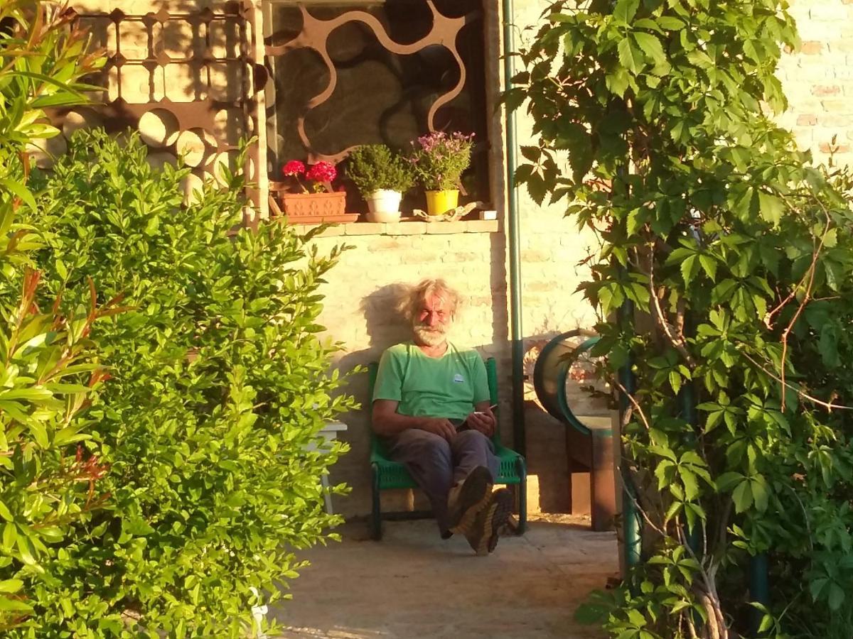 "La Casa Degli Ulivi Art B&B" Trecastelli Luaran gambar